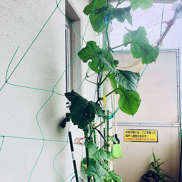 hanachanさんの部屋