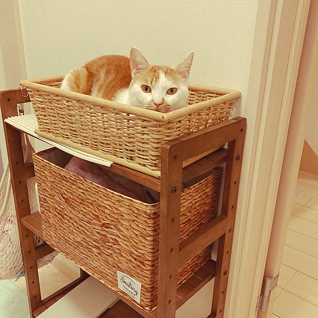 Gomaさんの実例写真