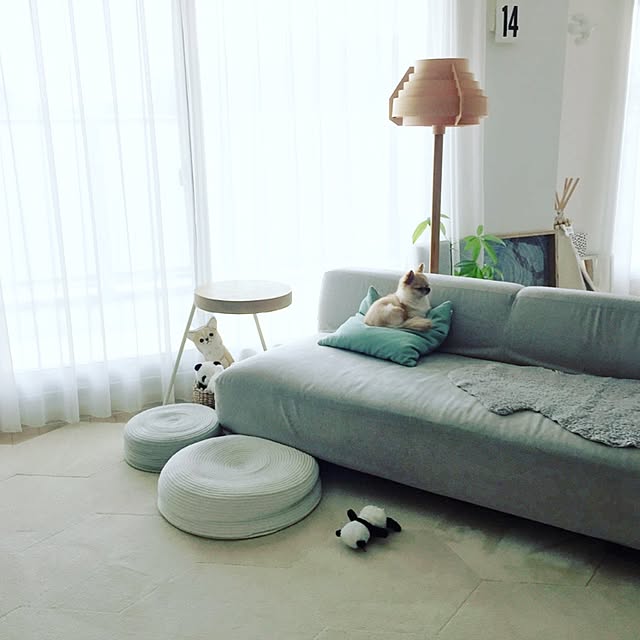 haruhinaさんの実例写真