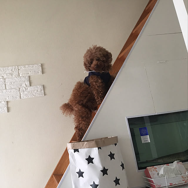 cocoさんの実例写真