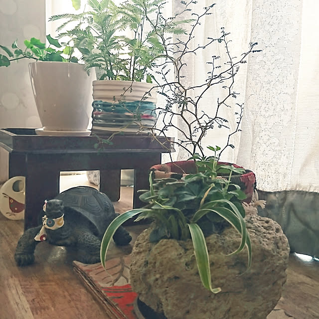 noripopさんの実例写真