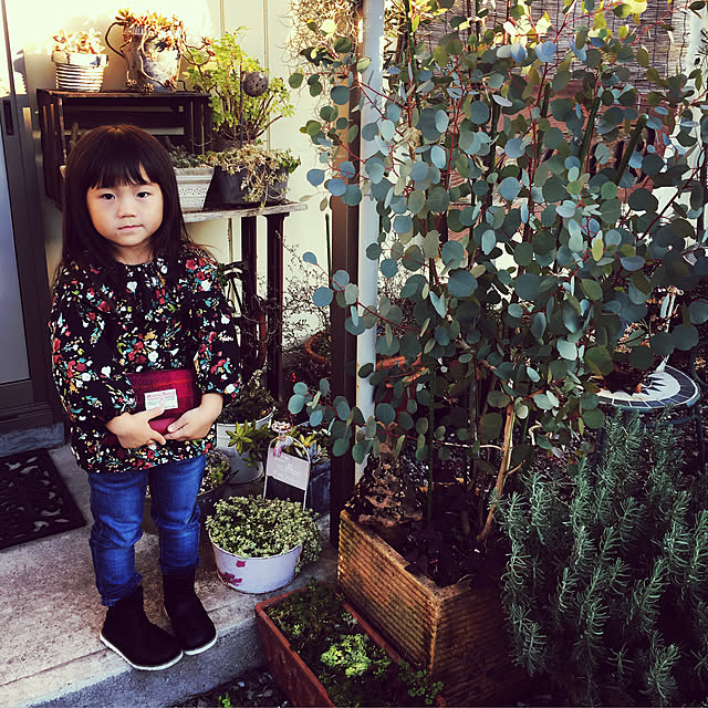CONIFERさんの実例写真