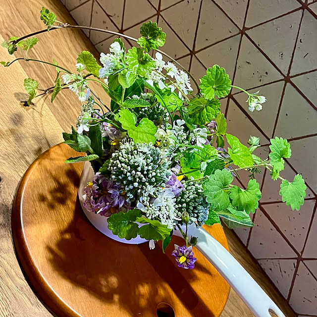 cotaさんの部屋