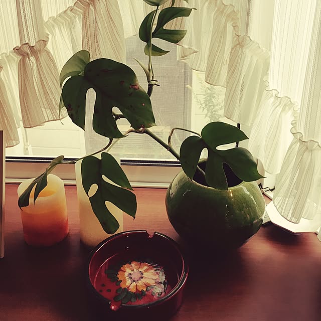 chi-ranさんの実例写真