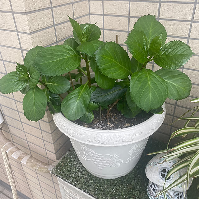 YuuKoさんの部屋