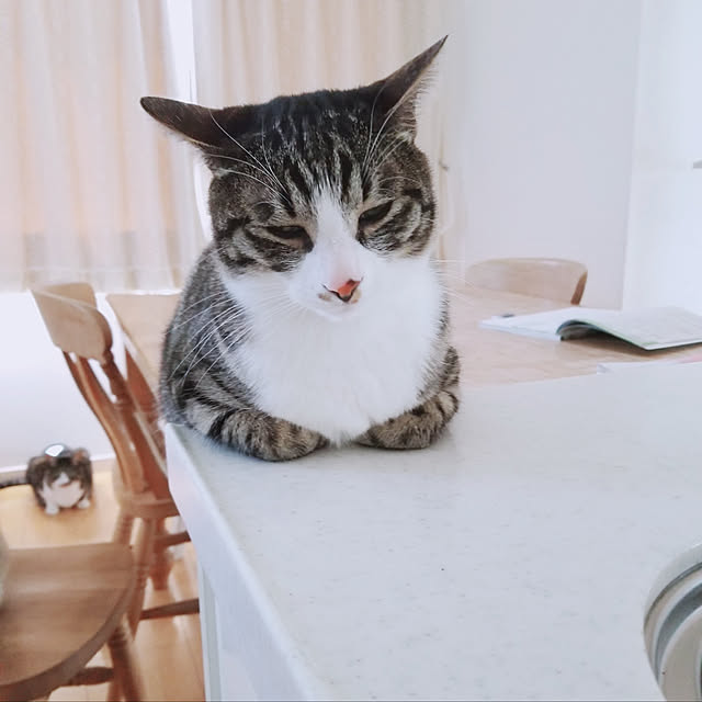 milkcocoaさんの実例写真