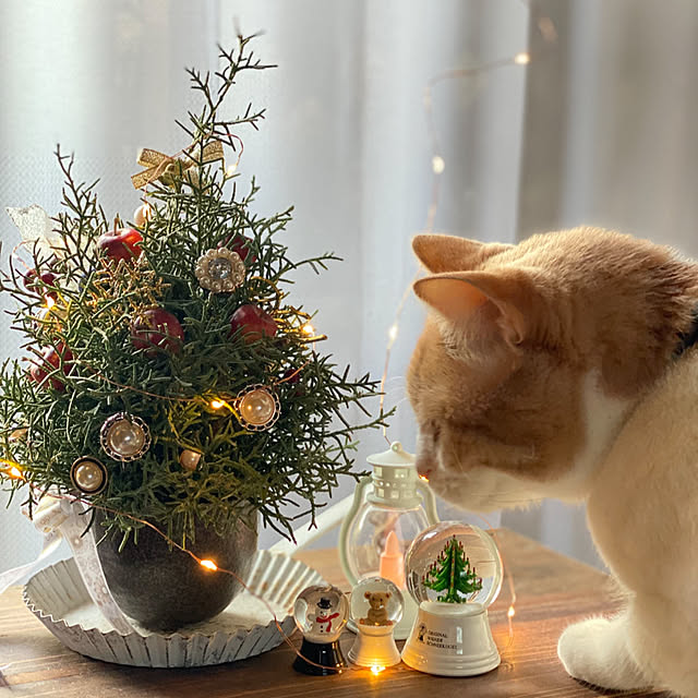 mintteaさんの部屋