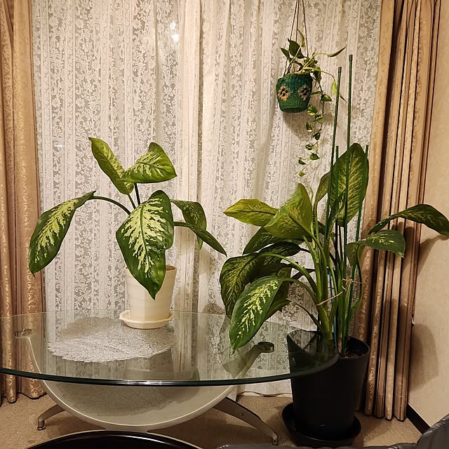 takoさんの部屋