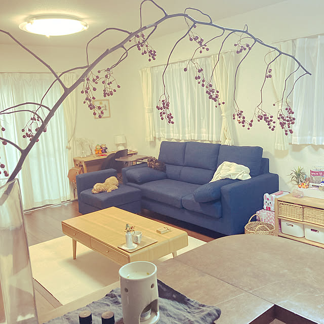 chaso.homeさんの実例写真