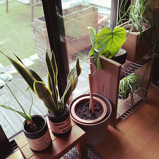 maaさんの実例写真