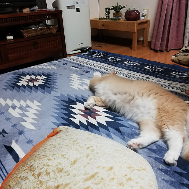 comatsu_naさんの実例写真