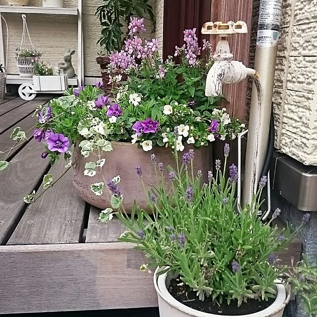 ayasweetさんの実例写真