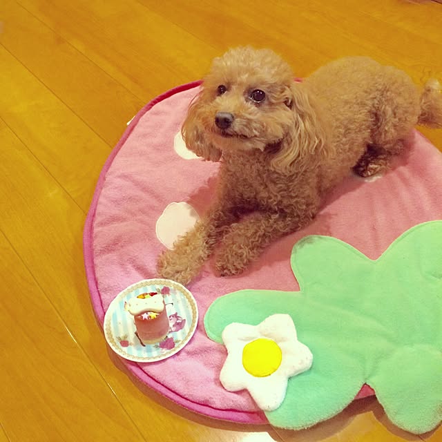 Momoさんの実例写真