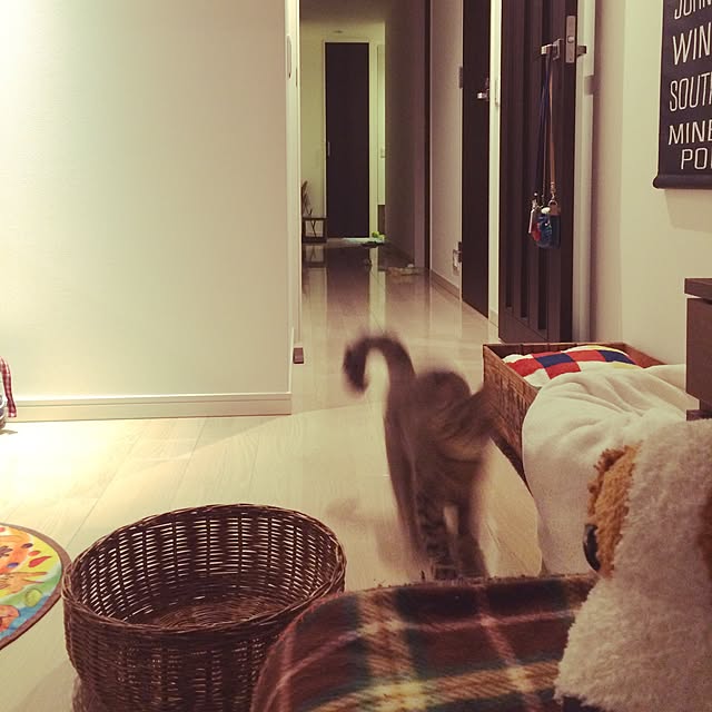 ayapiiiiceさんの実例写真