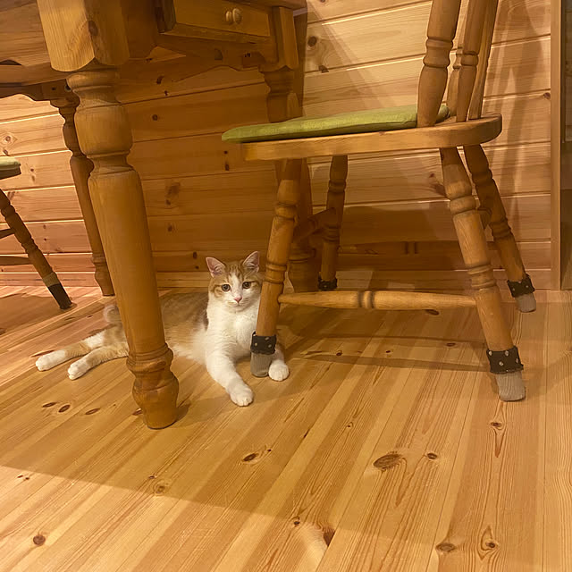 senbei.sakuramochiさんの実例写真