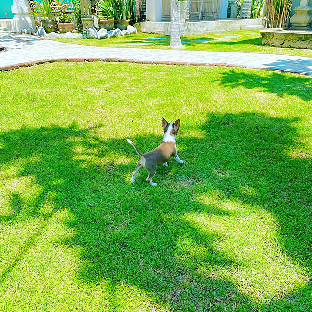 Mayumiさんの実例写真