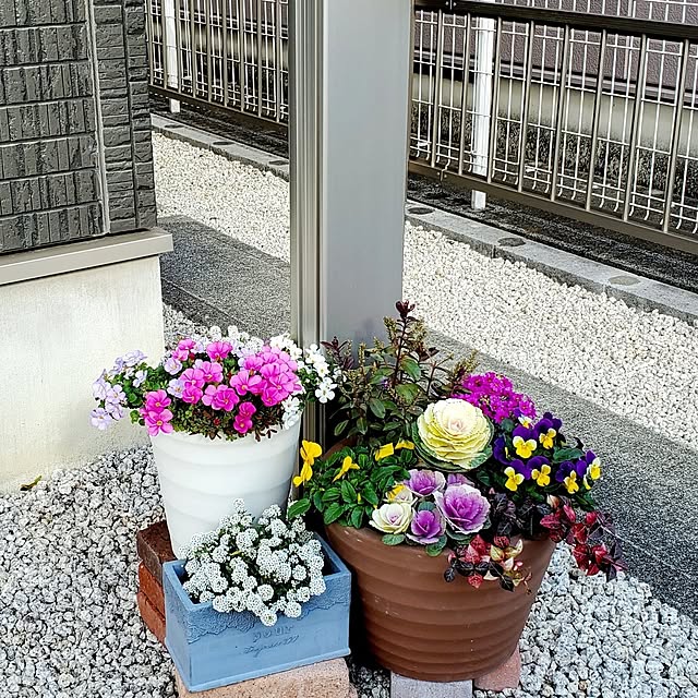 pomさんの実例写真