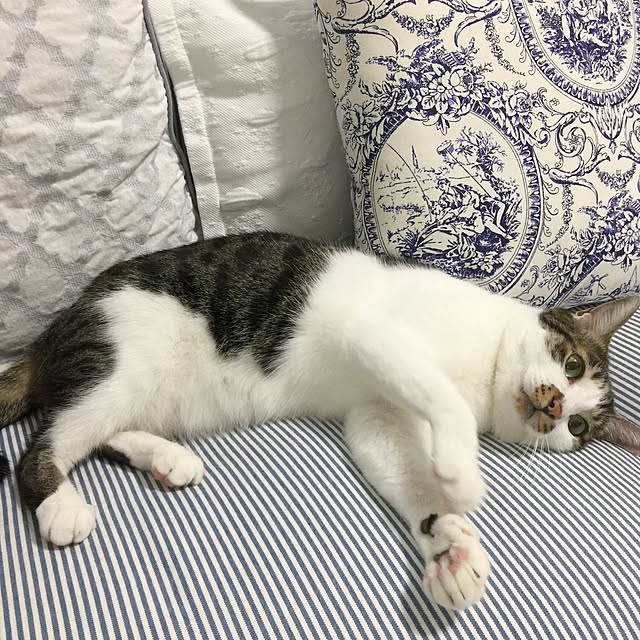 yuchiさんの実例写真