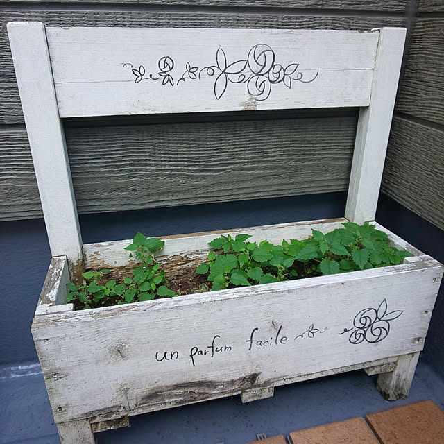 Mayumiさんの実例写真