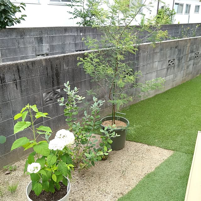 yamakawaさんの部屋