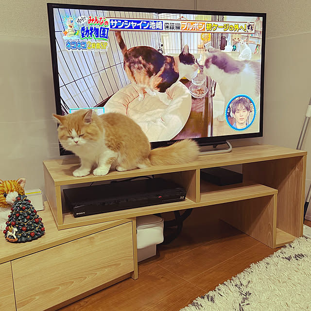 junさんの実例写真