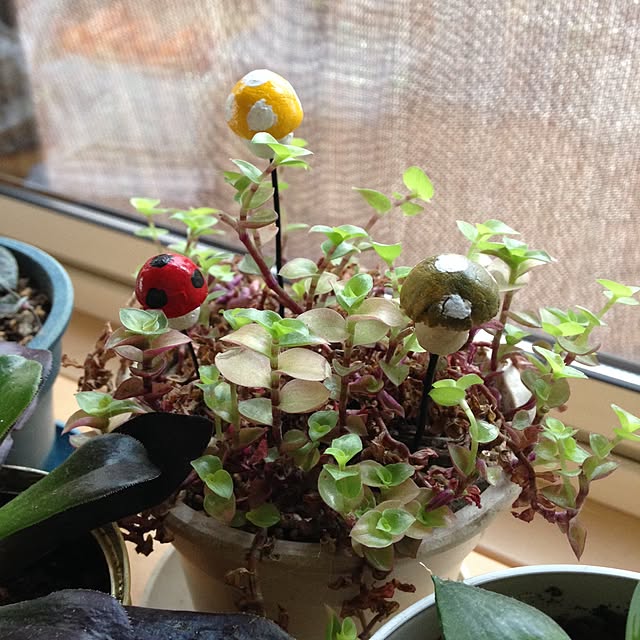 mamahiroさんの実例写真