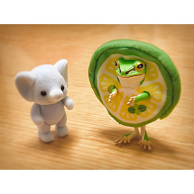miechuraさんの部屋