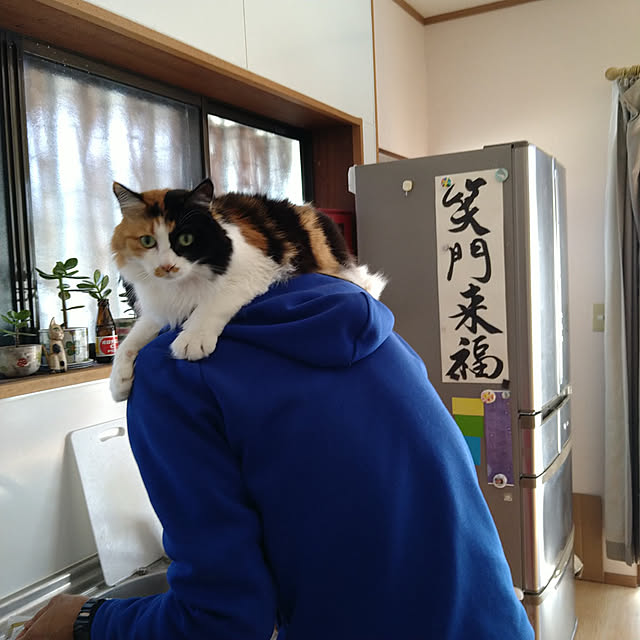 kiyohima229さんの実例写真