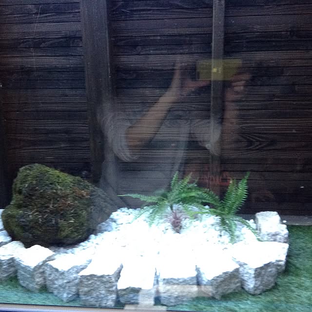 lilasさんの実例写真