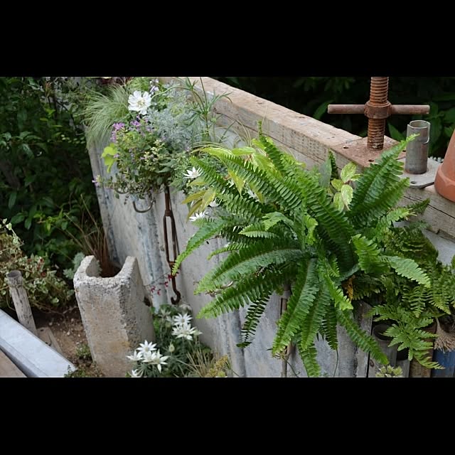 GreenWorksさんの実例写真