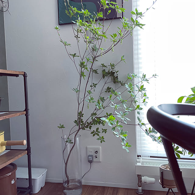 achiさんの部屋