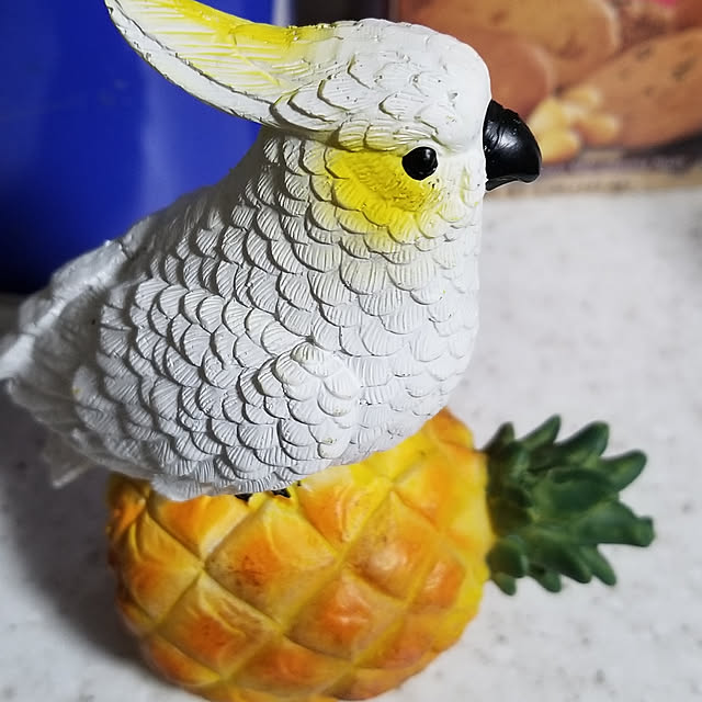 rumirumiさんの実例写真