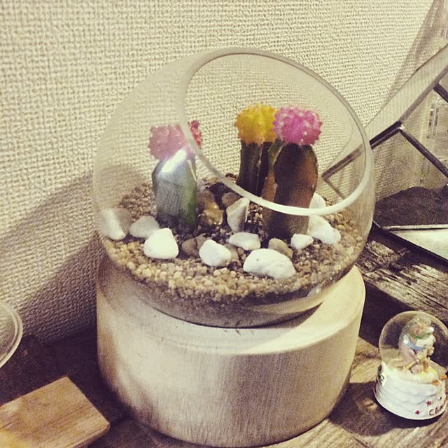 yoshikingさんの実例写真