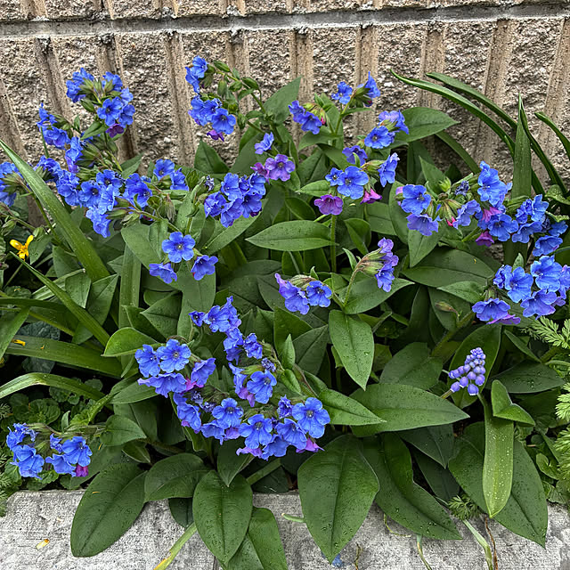 romiromiさんの部屋