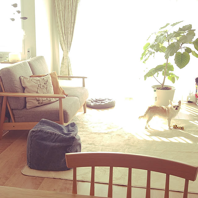 __home_m.さんの実例写真