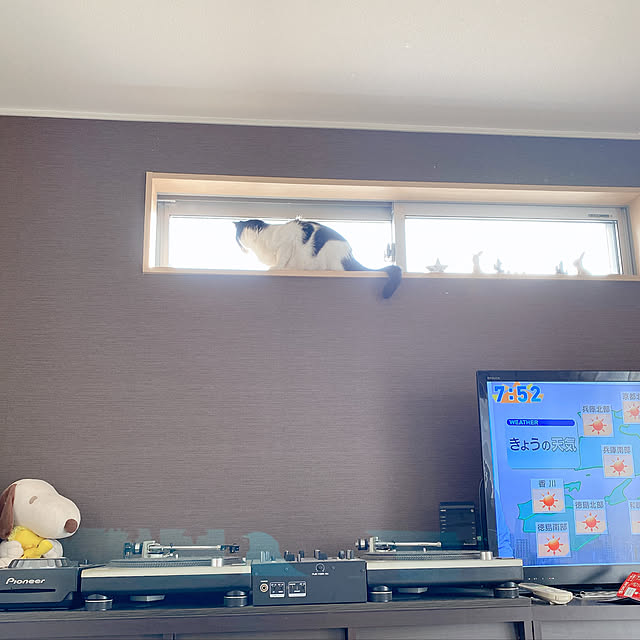 viraさんの実例写真