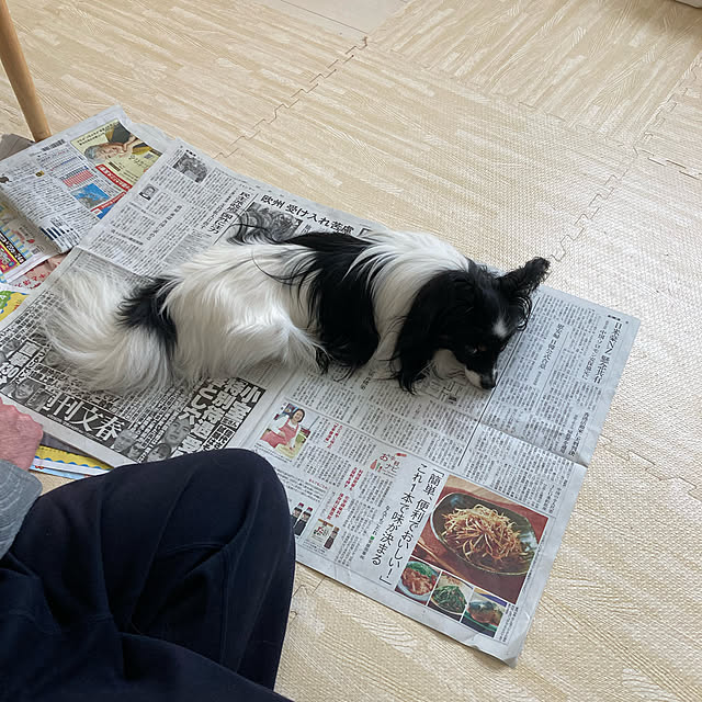 ayumaさんの実例写真