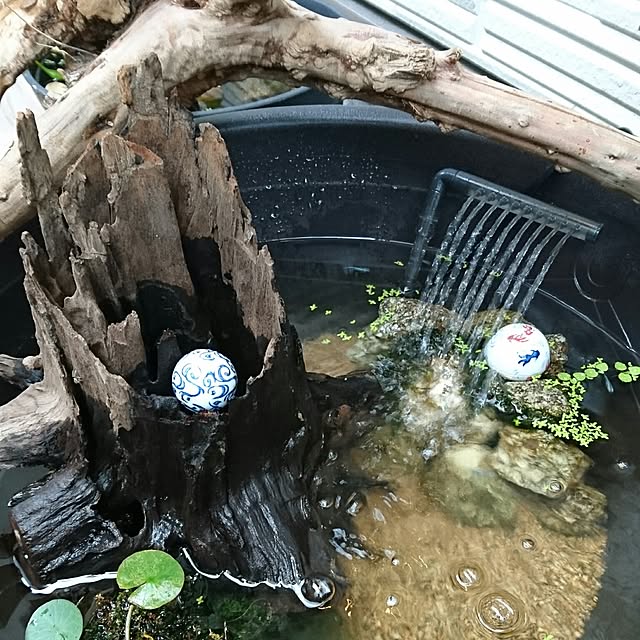 Kazutakaさんの実例写真