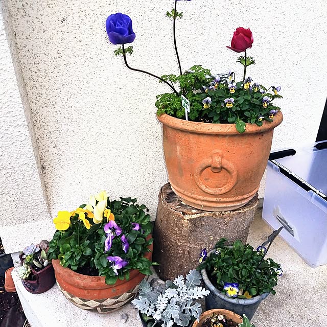 Tokeisouさんの実例写真