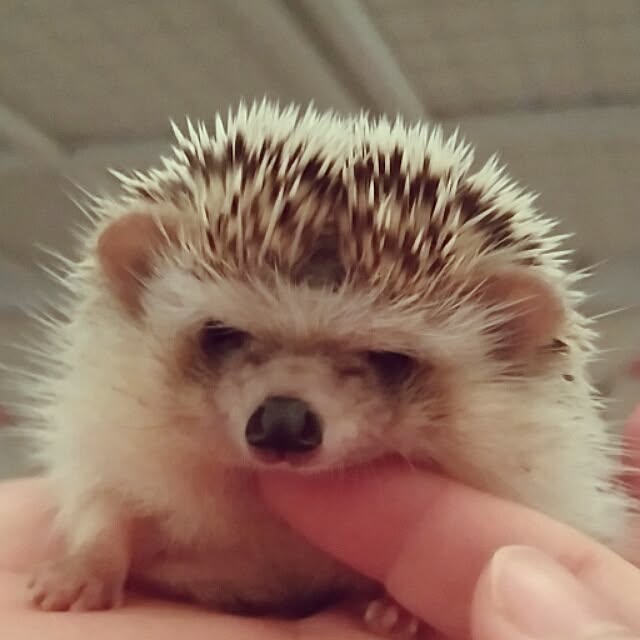kuruさんの実例写真