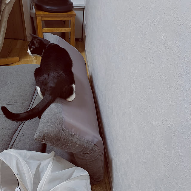 hihaさんの実例写真