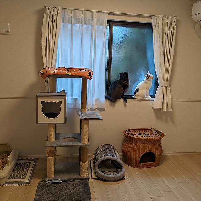 kumiさんの部屋