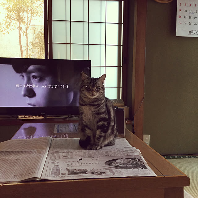richanさんの実例写真