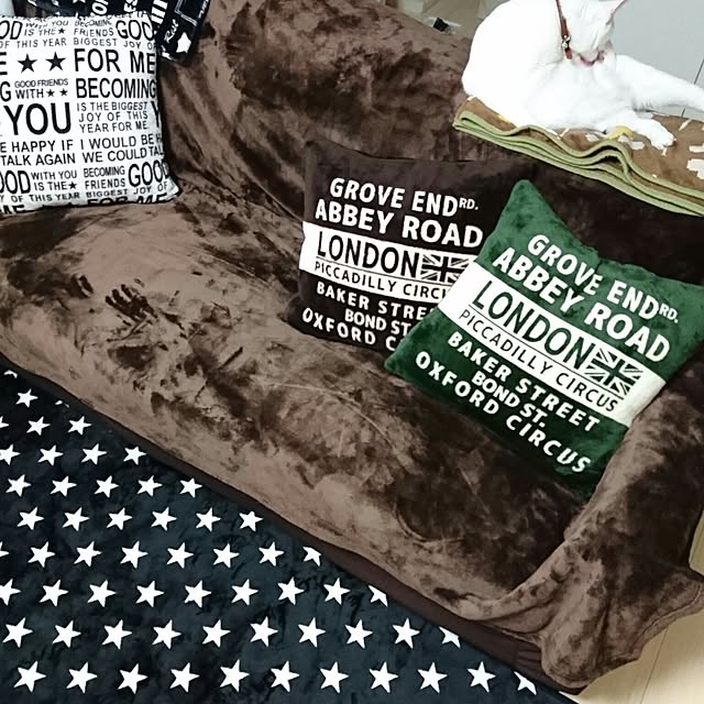 ta-koさんの実例写真