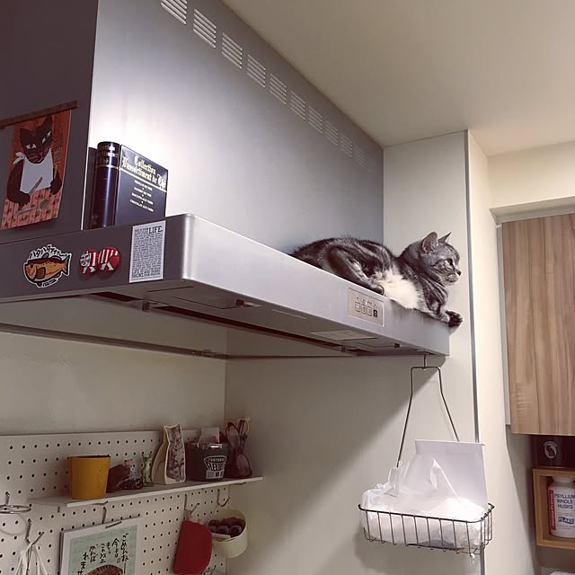 mikomaruさんの実例写真