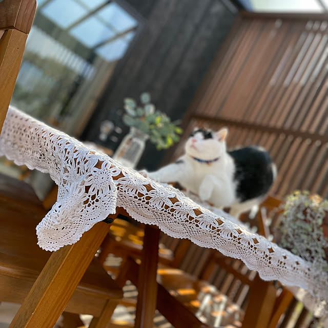 nekosamaさんの部屋