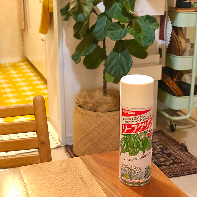 mochi2usagiさんの部屋