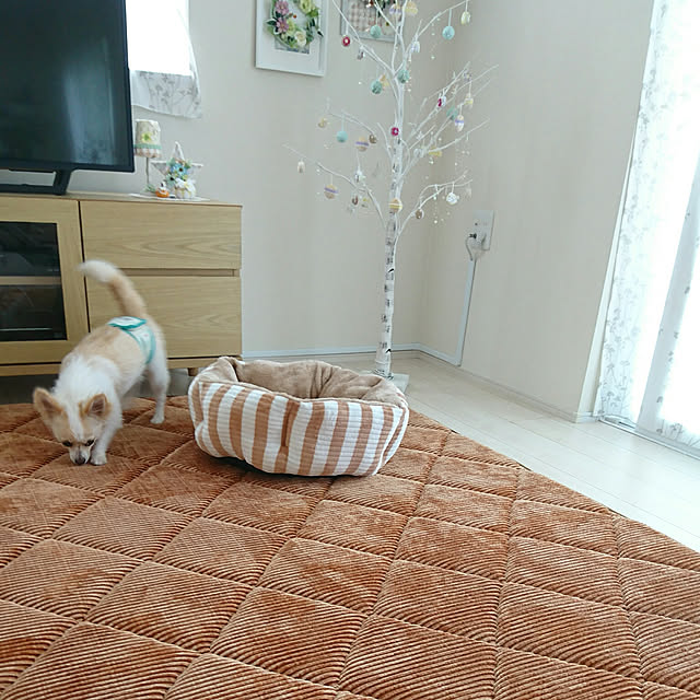 PAOさんの実例写真