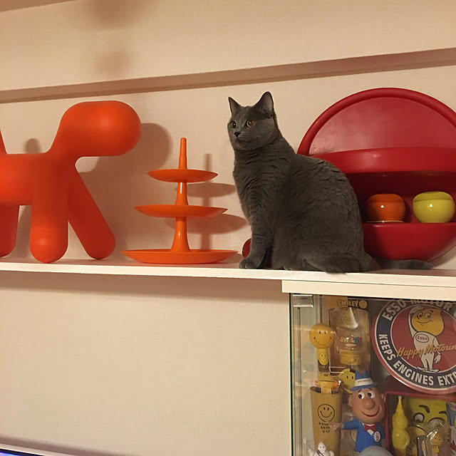 ikettenさんの実例写真