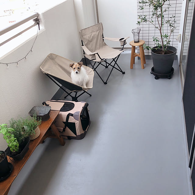 toto.ikさんの実例写真